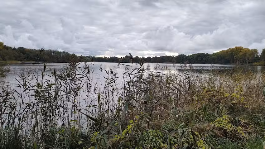 Ferienwohnung R&uuml;hs &ndash; Ute Uhlmann-R&uuml;hs