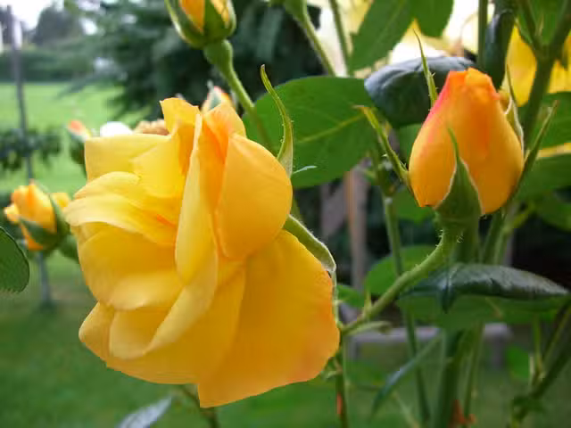 Ferienwohnung Schreyer