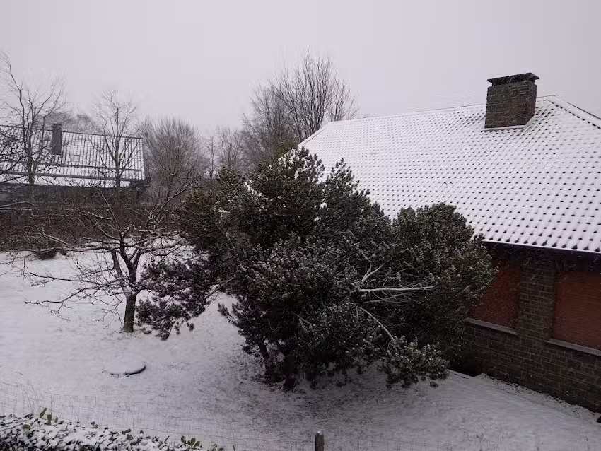 Ferienwohnung Schroiff