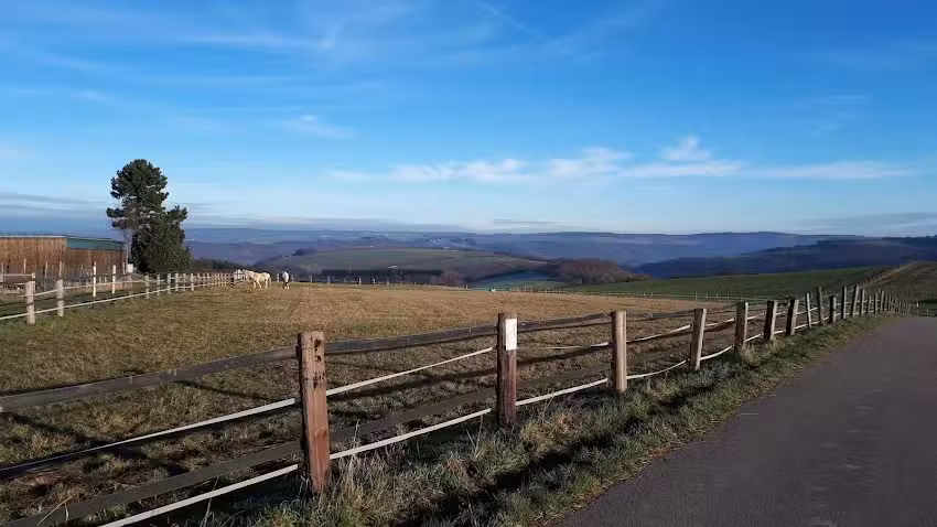Ferienwohnung Schwalbennest