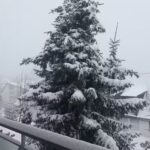 Ferienwohnung Schwarzwaldblick