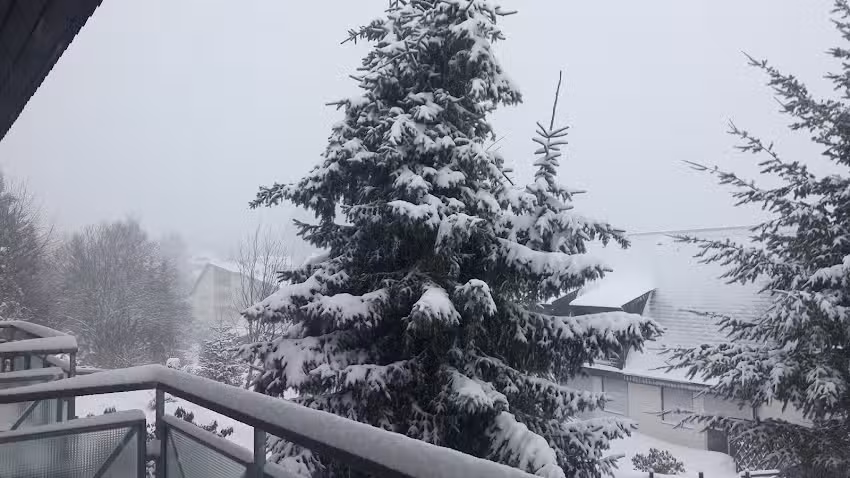 Ferienwohnung Schwarzwaldblick