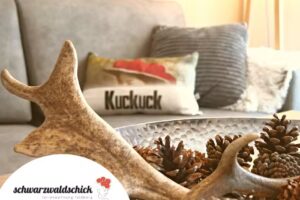 Ferienwohnung schwarzwaldschick/ am Feldberg, Wandern & Radfahren, Balkon mit Bergblick, Whirlwanne