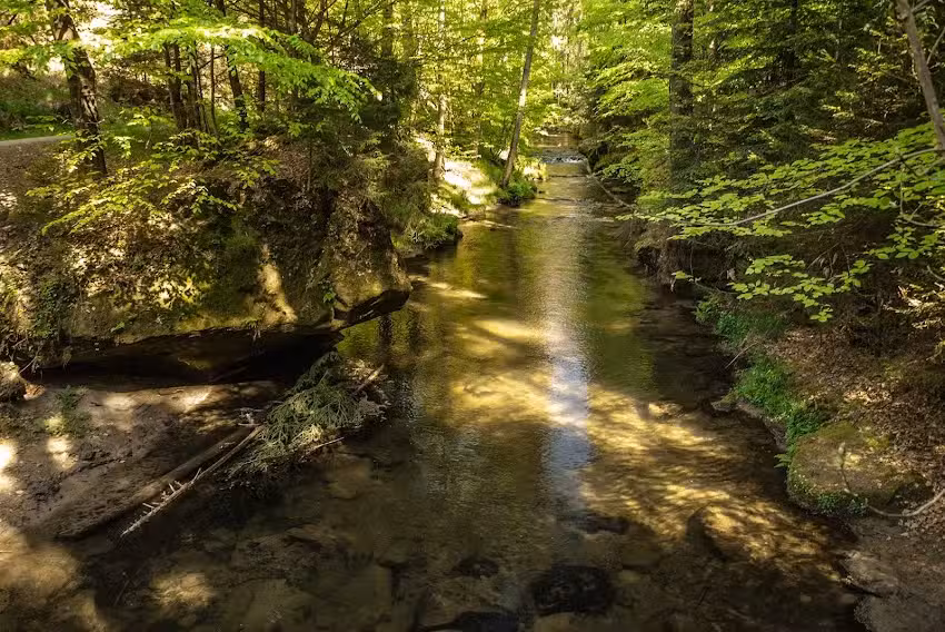 Ferienwohnung Schweipert