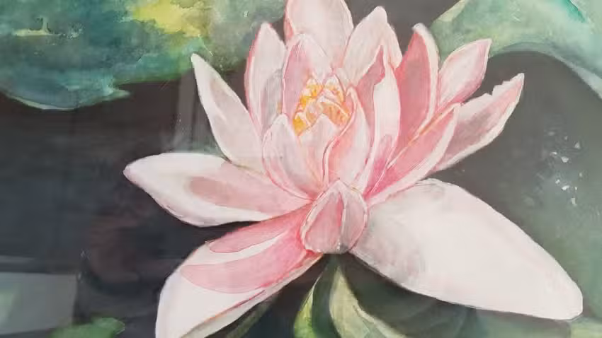 Ferienwohnung Seerose