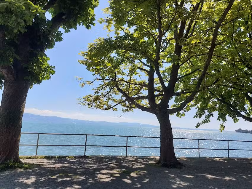 Ferienwohnung Seeschwalbe