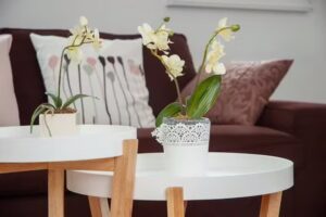 Ferienwohnung Siegburg Zentrum