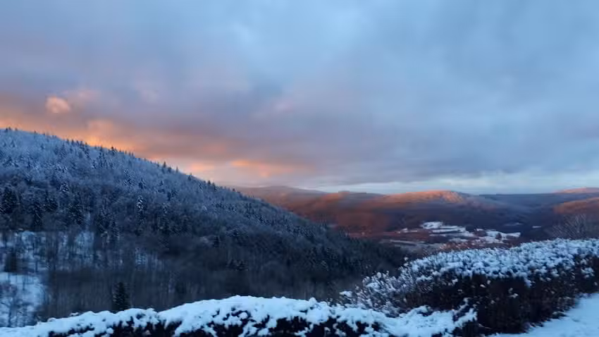 Ferienwohnung Sonnenwald 38