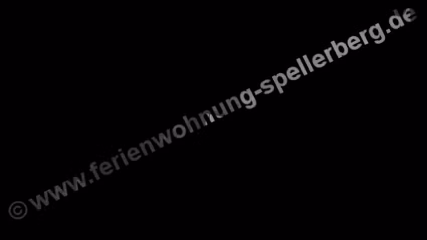 Ferienwohnung Spellerberg Warburg