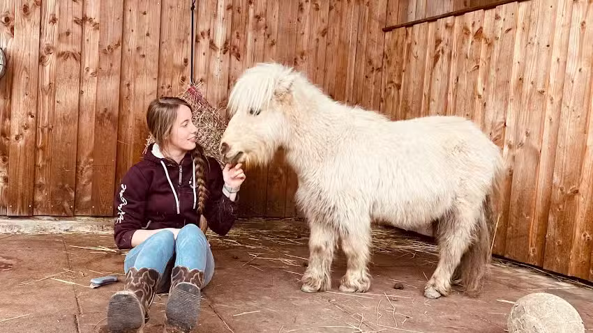 Ferienwohnung Spessart-Pony
