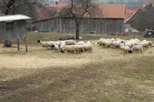 Ferienwohnung Spiegelhof – Julia Djabalameli
