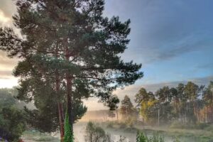 Ferienwohnung Spreeblick
