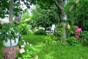 Ferienwohnung Steinhuder Meer