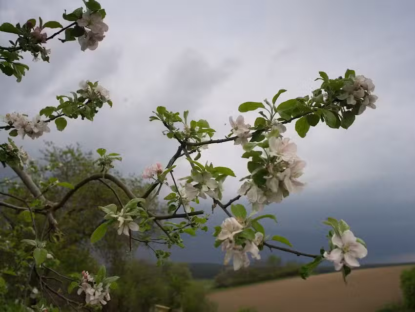 Ferienwohnung Stolpmann