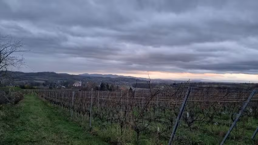 Ferienwohnung Storchenblick