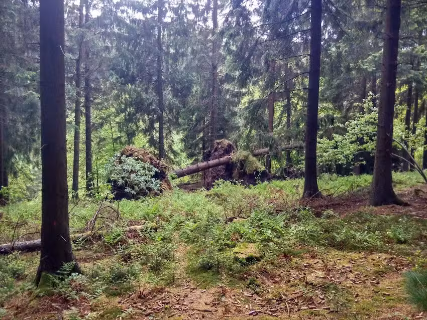 Ferienwohnung Talblick