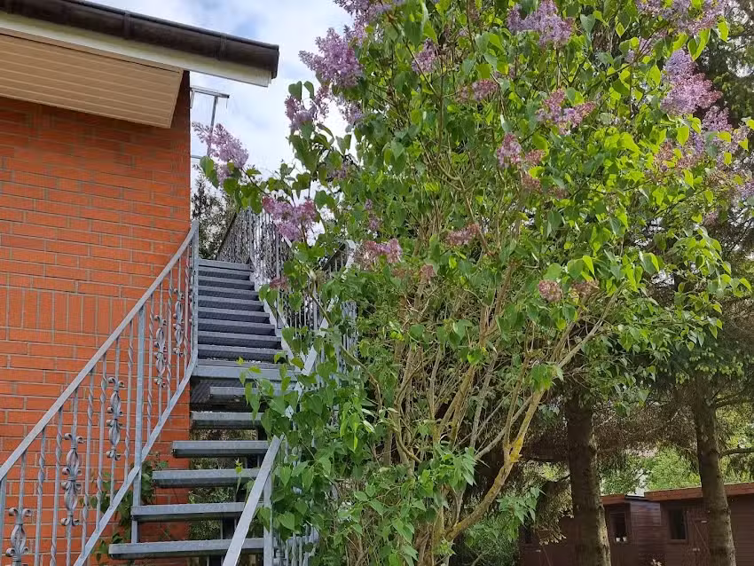 Ferienwohnung Tannenblick-MV