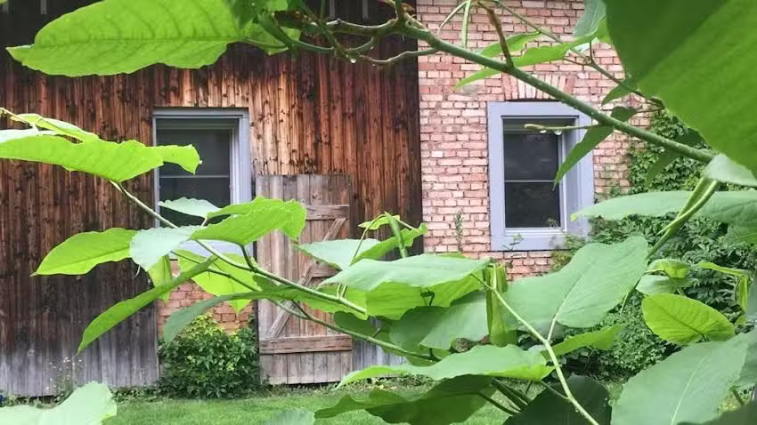 Ferienwohnung Tauberbischofsheim