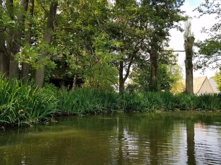 Ferienwohnung Teichidyll