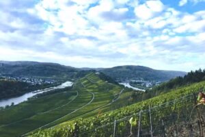Ferienwohnung Thiel Zell-Mosel