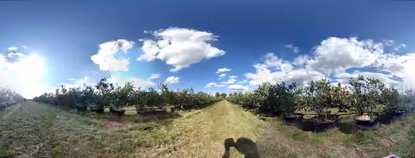 Ferienwohnung Tiefschlaf