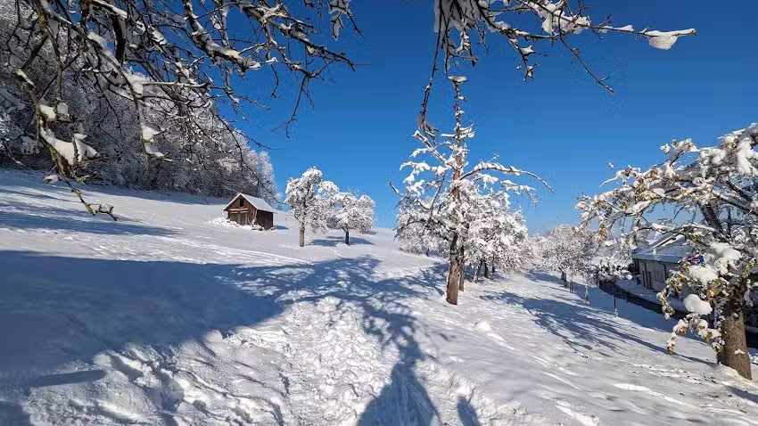 Ferienwohnung Tourenblick