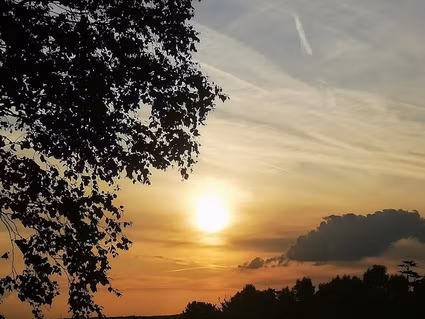 Ferienwohnung Ulmenstra&szlig;e