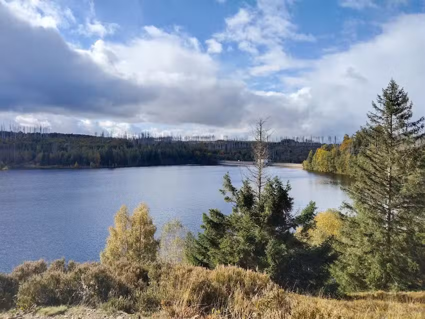 Ferienwohnung Waldh&ouml;he