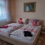 Ferienwohnung Wallschl&auml;ger