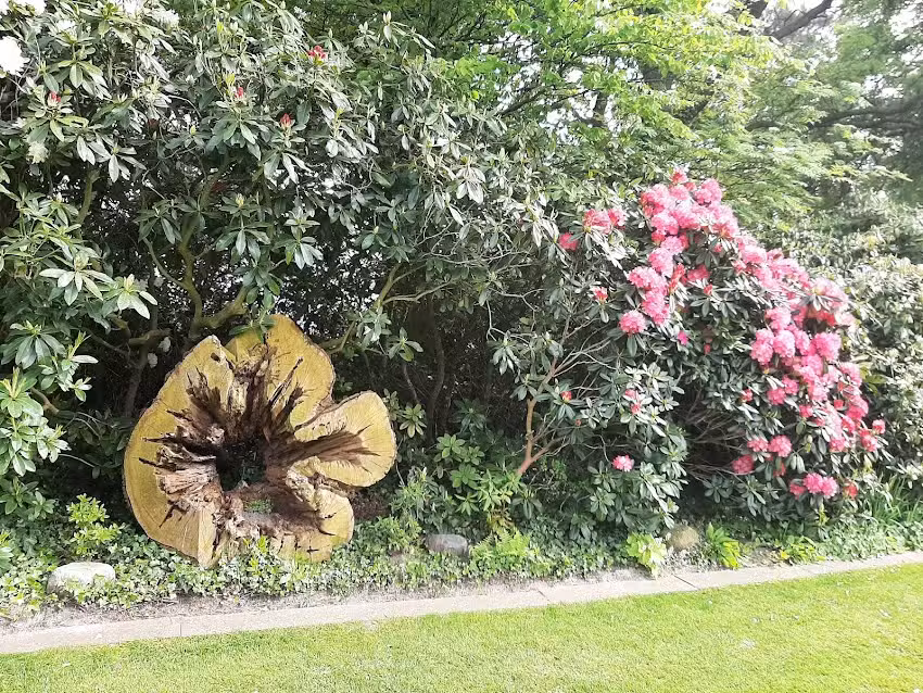 Ferienwohnung Wiefelstede