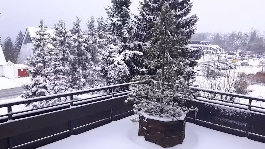 Ferienwohnung Winterberg Amadeo