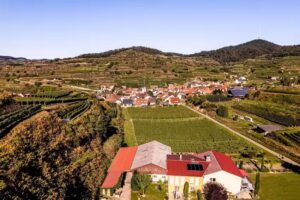 Ferienwohnung Winzerhof Lettental – Urlaub mitten in den Weinbergen im Kaiserstuhl