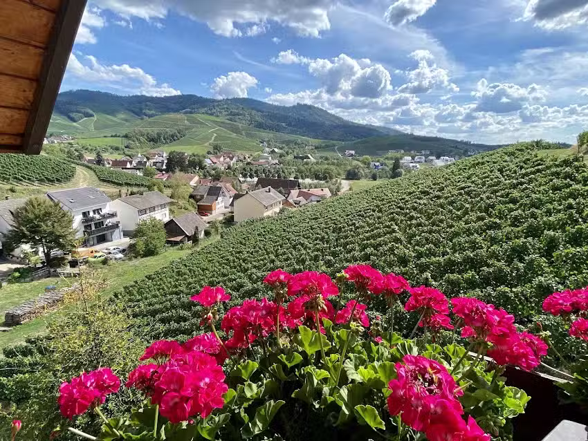 Ferienwohnung W&ouml;rner