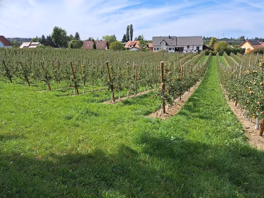 Ferienwohnung Wunsch
