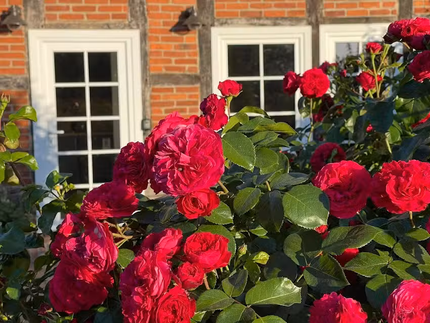 Ferienwohnung Wussegel