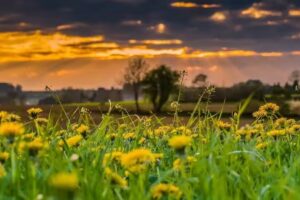 Ferienwohnung Zum Butterstock
