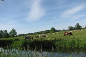 Ferienwohnungen Am Königsgraben