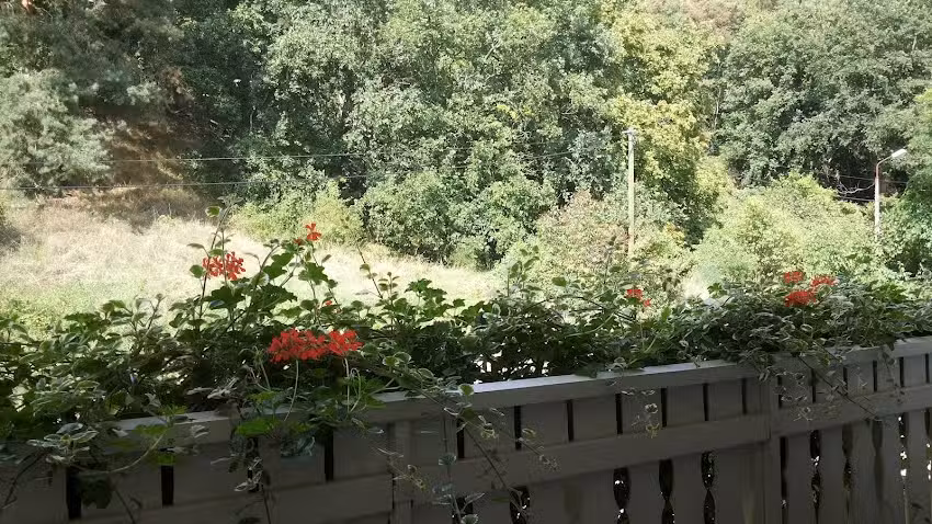 Ferienwohnungen am See