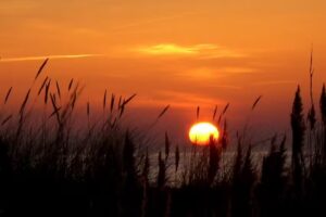 Ferienwohnungen Blanck