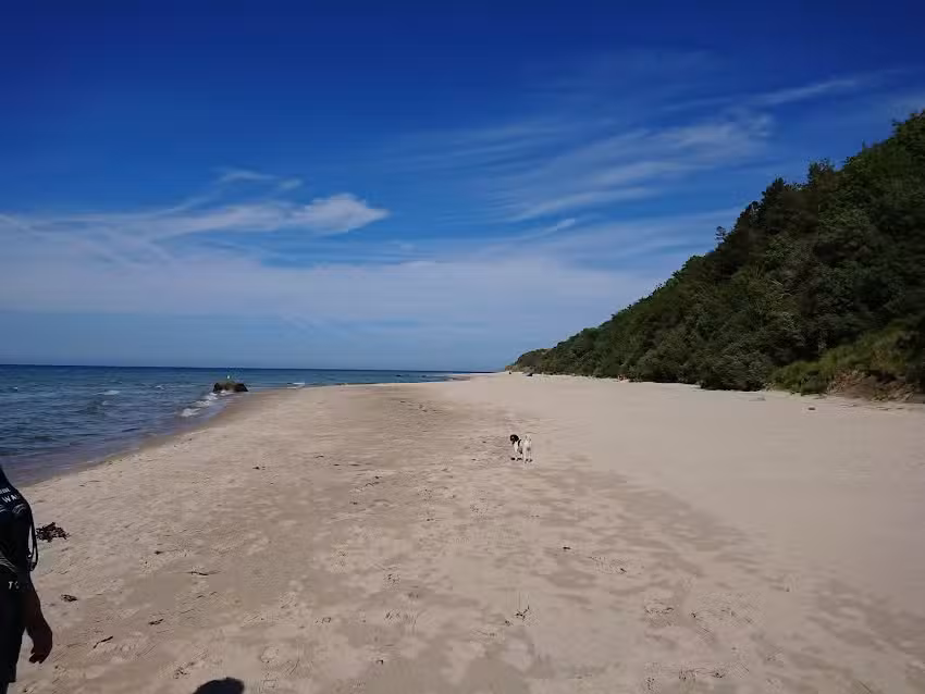 Ferienwohnungen Burghardt