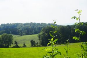 Ferienwohnungen Clausberg