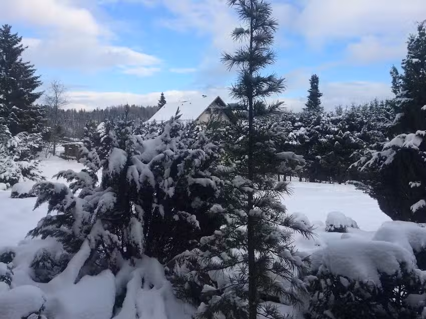 Ferienwohnungen Eulennestchen