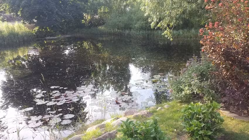 Ferienwohnungen Gutshof13