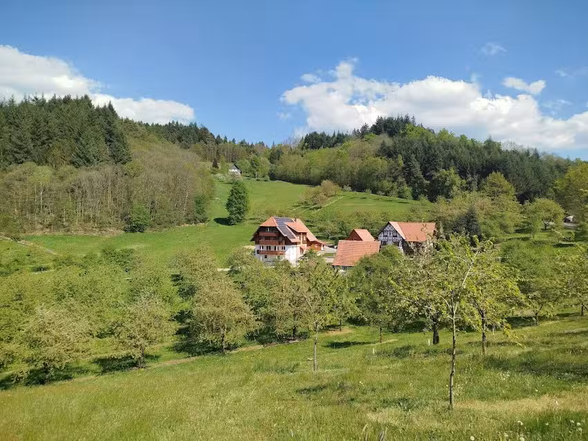 Ferienwohnungen Halter