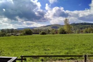 Ferienwohnungen Harzblick