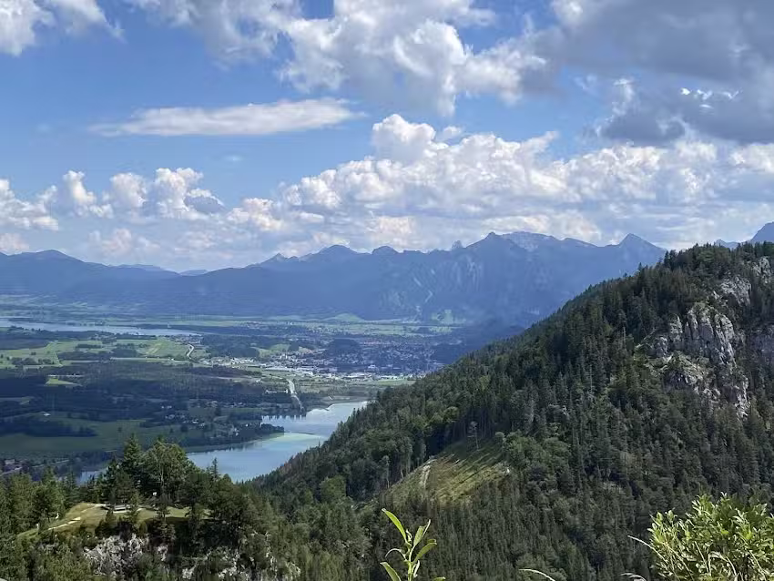 Ferienwohnungen Haus Rosengarten