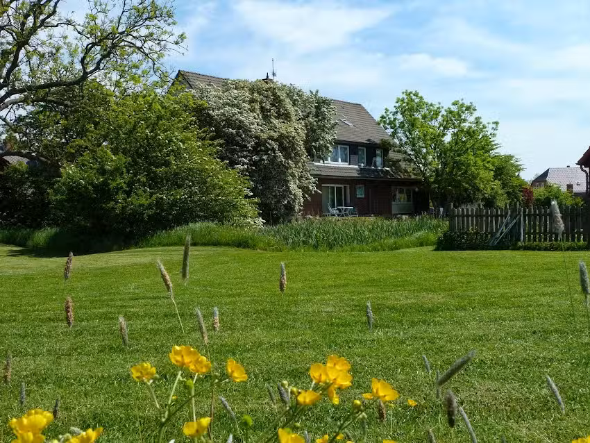 Ferienwohnungen Haus Widder