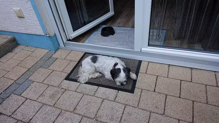 Ferienwohnungen Hochgrebe