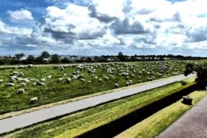 Ferienwohnungen Hus Jadekieker