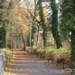 Ferienwohnungen im Spreewald